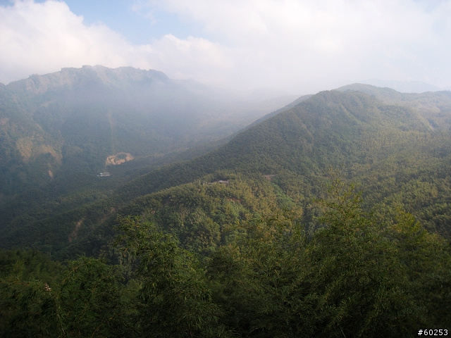 南投縣 竹山→投49鄉道→大人凍林道→軟鞍八卦茶園