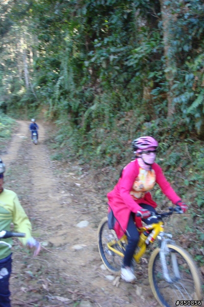 女王的第一次offroad，越嶺線浸林道