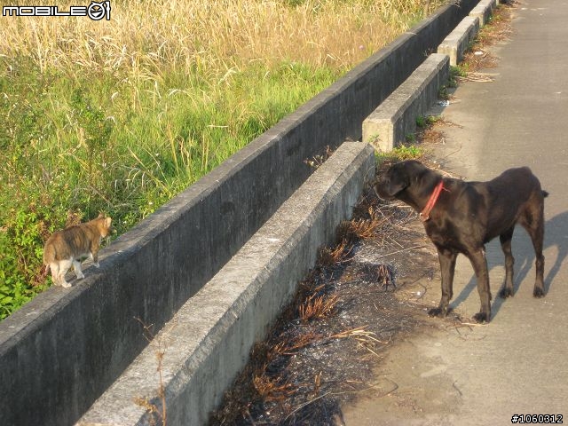 [小品遊記]鄉間小徑--竹縣三鎮訪幽行