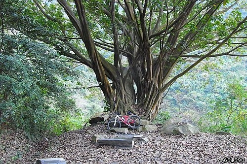 20090107初訪五公山