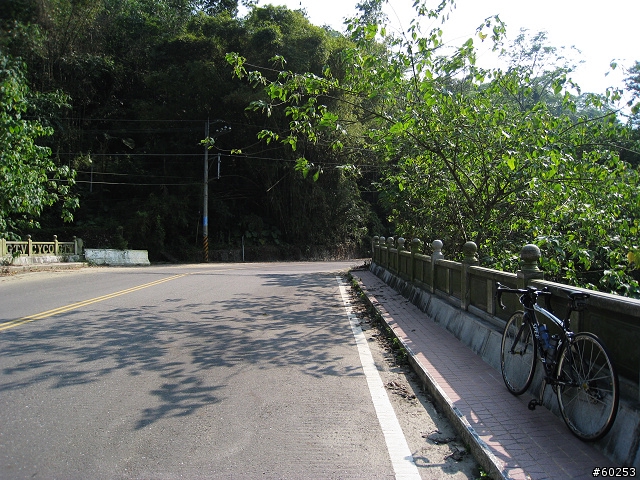 南投縣 竹山→投49鄉道→大人凍林道→軟鞍八卦茶園