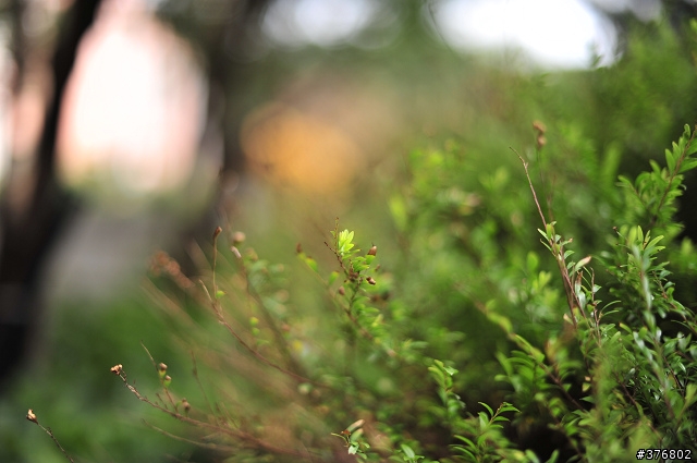 [分享] Nikon AF-S Nikkor 50mm F1.4 G 開箱