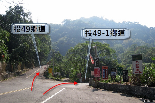 南投縣 竹山→投49鄉道→大人凍林道→軟鞍八卦茶園