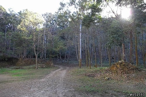 20090107初訪五公山