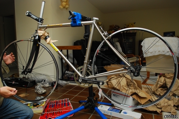 除夕日, Litespeed Arenberg