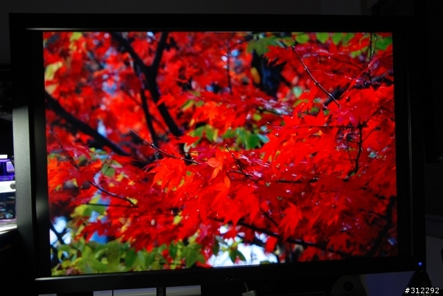 [有箱開]Dell 2709W 27" Ultrasharp Widescreen LCD Monitor