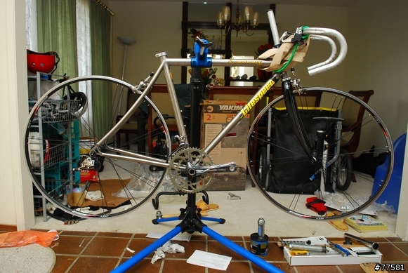 除夕日, Litespeed Arenberg