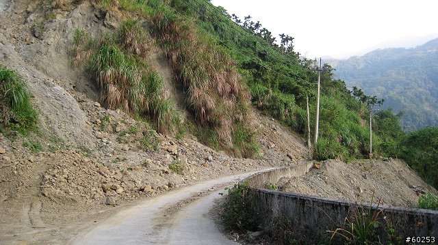 南投縣 竹山→投49鄉道→大人凍林道→軟鞍八卦茶園
