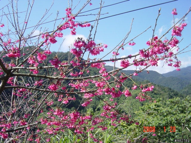 「分」「享」黑媽媽超想睡之未完成單日雙北