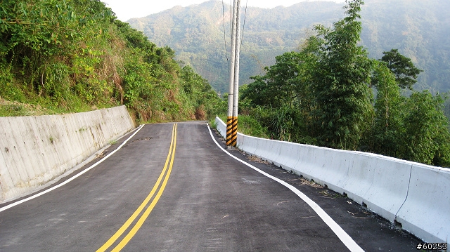南投縣 竹山→投49鄉道→大人凍林道→軟鞍八卦茶園