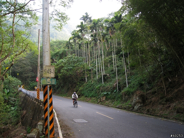 南投縣 竹山→投49鄉道→大人凍林道→軟鞍八卦茶園