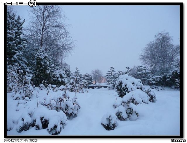 雪地裡的小Q