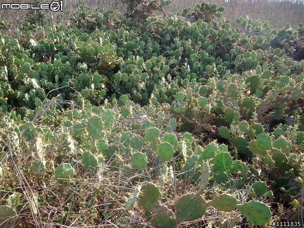 2009環島番外篇.外加環澎湖本島