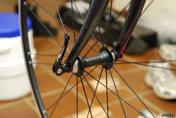 除夕日, Litespeed Arenberg