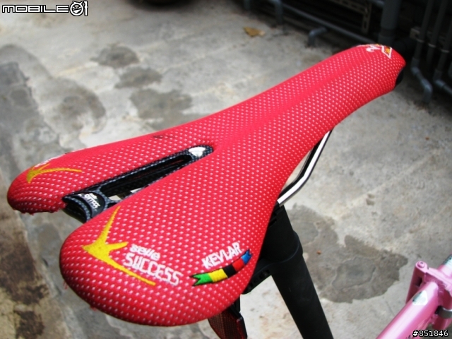 santosa california E200 仿 DAHON TT 粉金改裝版 !!