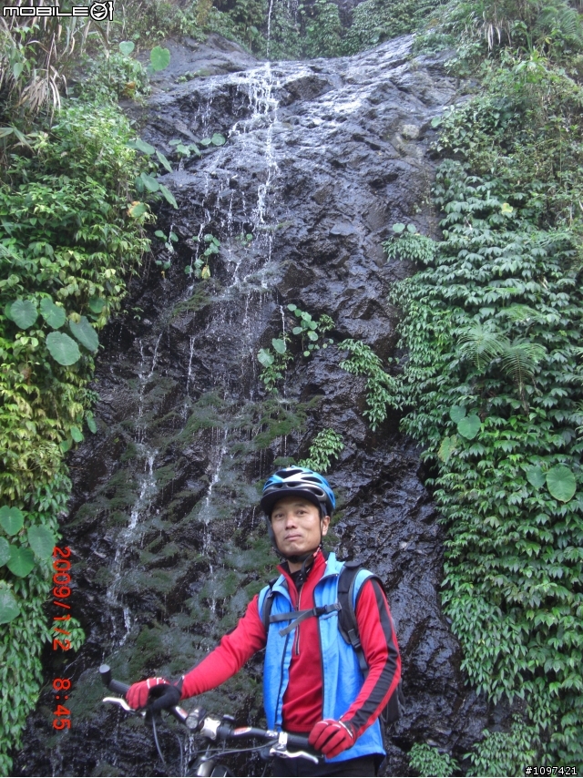 多納林道巧遇山裡的小動物..請各問大大看看這是什麼動物