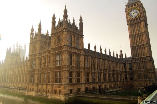 D40新手試拍，請大家指導