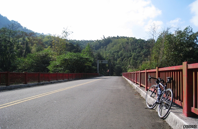 南投縣 竹山→投49鄉道→大人凍林道→軟鞍八卦茶園