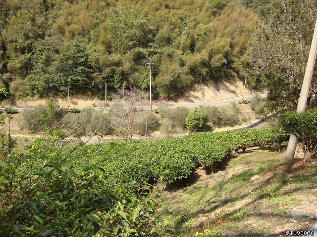 [分享][過年騎車的照片] 日月潭 & 貓囒山步道