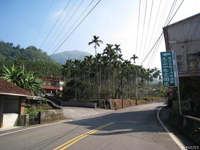 南投縣 竹山→投49鄉道→大人凍林道→軟鞍八卦茶園