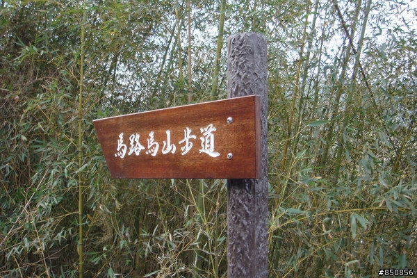女王的第一次offroad，越嶺線浸林道