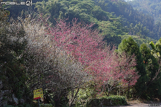 原厰新勁戰三橫環半島09.01.12-01.15...圖多小心