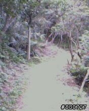 OFF ROAD 不用跑遠在家附近也有好玩的路線
