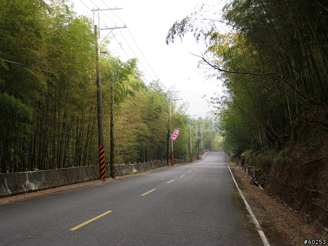 南投縣 竹山→投49鄉道→大人凍林道→軟鞍八卦茶園