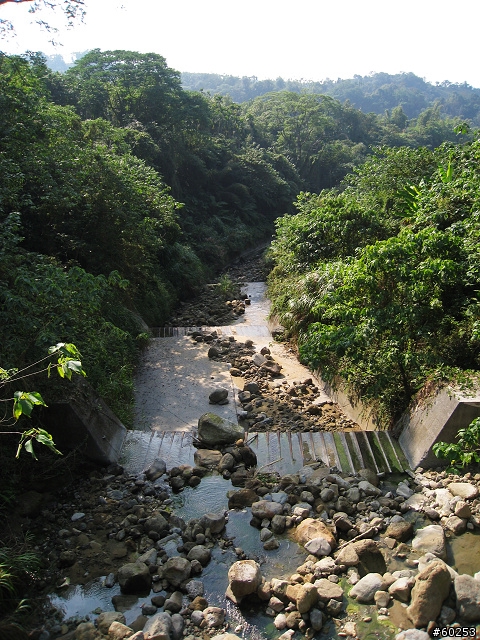 南投縣 竹山→投49鄉道→大人凍林道→軟鞍八卦茶園