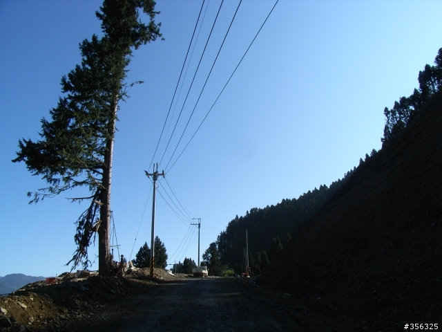 [遊記] 2009大鹿林道-白色聖稜線