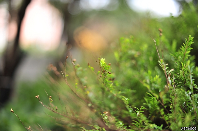 [分享] Nikon AF-S Nikkor 50mm F1.4 G 開箱