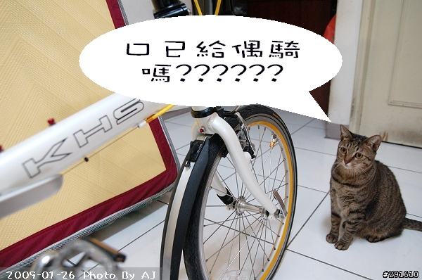 好康....