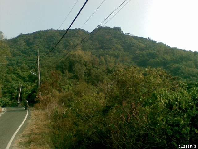 旗山的自行車道