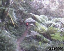 OFF ROAD 不用跑遠在家附近也有好玩的路線