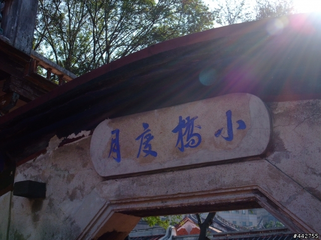 0130雙馬高峰會之策馬入林隨拍