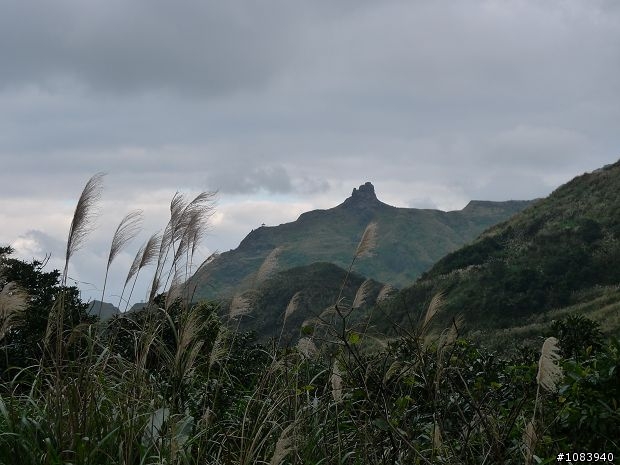 『分享』讓我歡喜讓我傷的  汐平公路+瑞雙(瑞芳九份)+五指山 單日145km長征!!