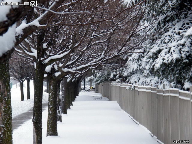 生活中的雪景, 给寒冬加一奌氣氛