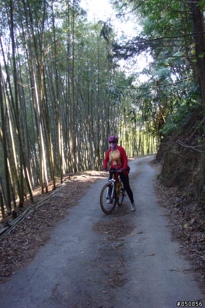 女王的第一次offroad，越嶺線浸林道