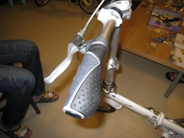 昨日買多部Dahon Dove ! (小小白)