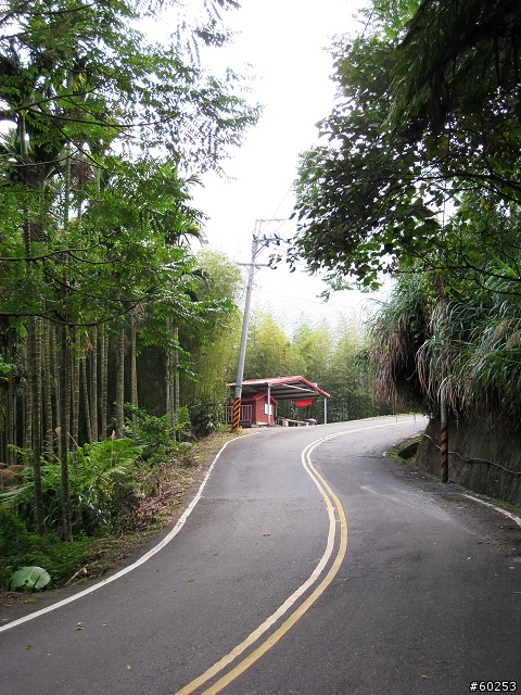 南投縣 竹山→投49鄉道→大人凍林道→軟鞍八卦茶園