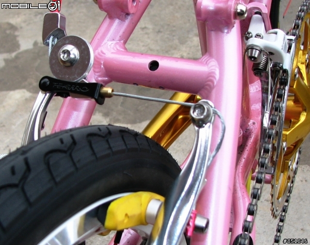 santosa california E200 仿 DAHON TT 粉金改裝版 !!