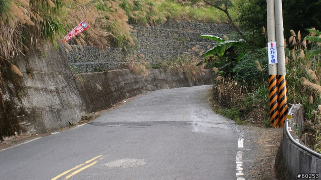 南投縣 竹山→投49鄉道→大人凍林道→軟鞍八卦茶園