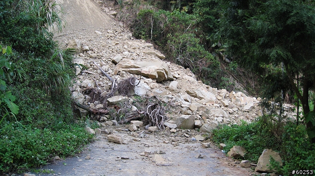 南投縣 竹山→投49鄉道→大人凍林道→軟鞍八卦茶園