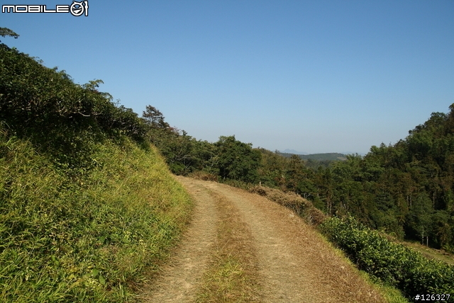 日月潭貓囒山[小徑+竹林]