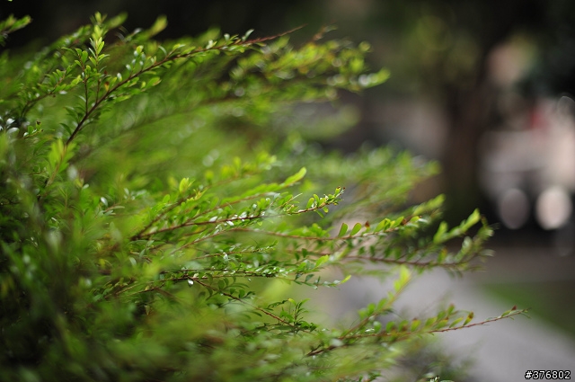 [分享] Nikon AF-S Nikkor 50mm F1.4 G 開箱
