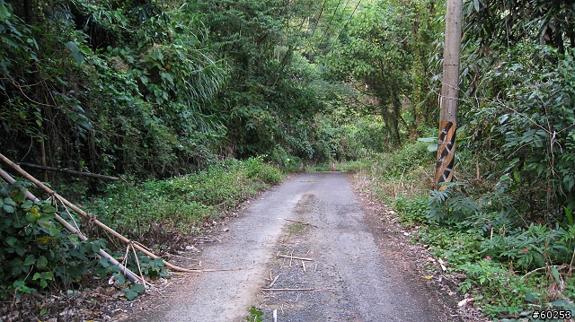南投縣 竹山→投49鄉道→大人凍林道→軟鞍八卦茶園