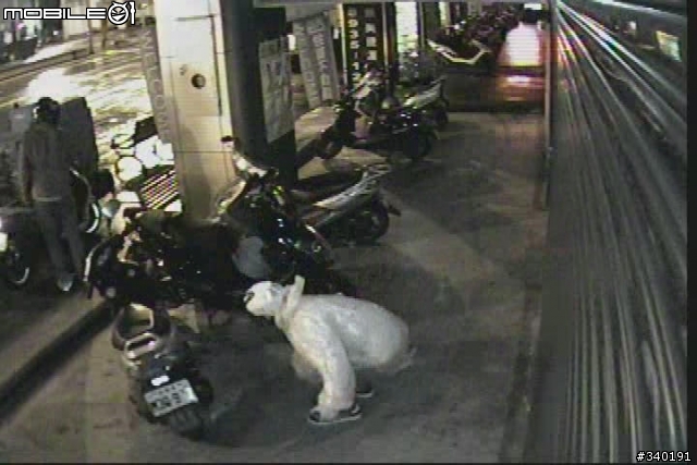 鎖上大鎖真的有用? 台北市羅斯福路六段治安真的很好? 防盜螺絲沒用?  報案沒用? 警察局對面偷兒無法無天!
