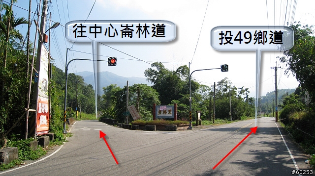 南投縣 竹山→投49鄉道→大人凍林道→軟鞍八卦茶園