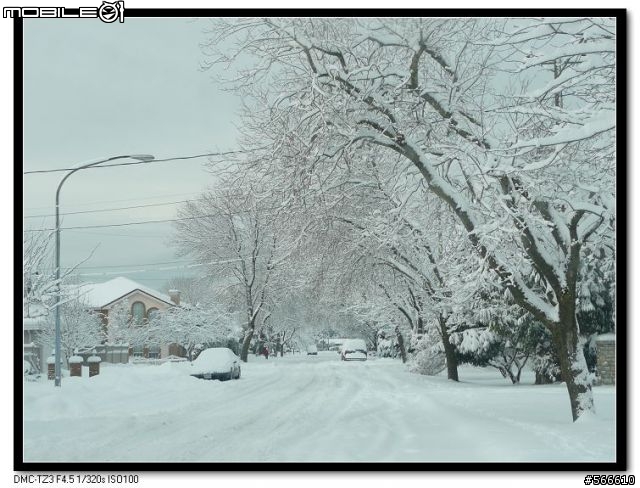 雪地裡的小Q