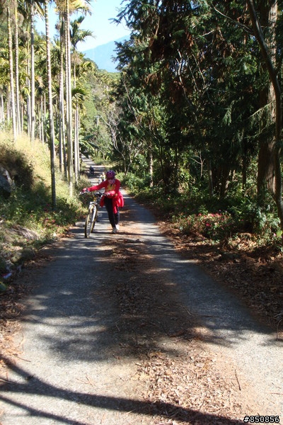 女王的第一次offroad，越嶺線浸林道
